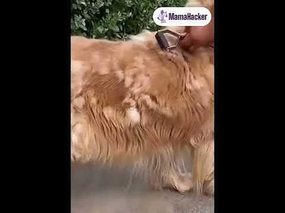 Четка FurMaster в действие на куче - премахване на подкосъм и масаж в домашни условия | Поръчай от MamaHacker.bg