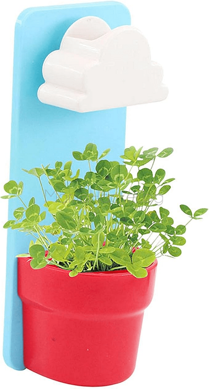 Саксия CloudPot с облаче и растение, идеална за декорация и автоматично поливане, стилни кухненски аксесоари.