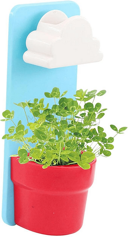 Саксия CloudPot с облаче и растение, идеална за декорация и автоматично поливане, стилни кухненски аксесоари.