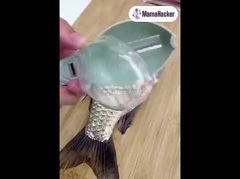 Използване на ScaleScraper белачка на рибни люспи, бързо и безопасно премахване на люспи, иновативен кухненски аксесоар.